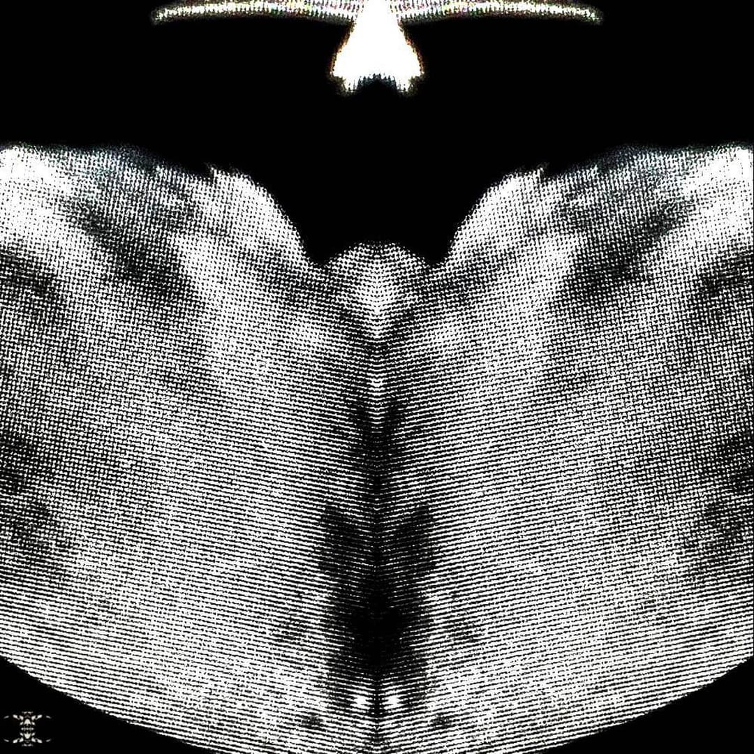 angel choir