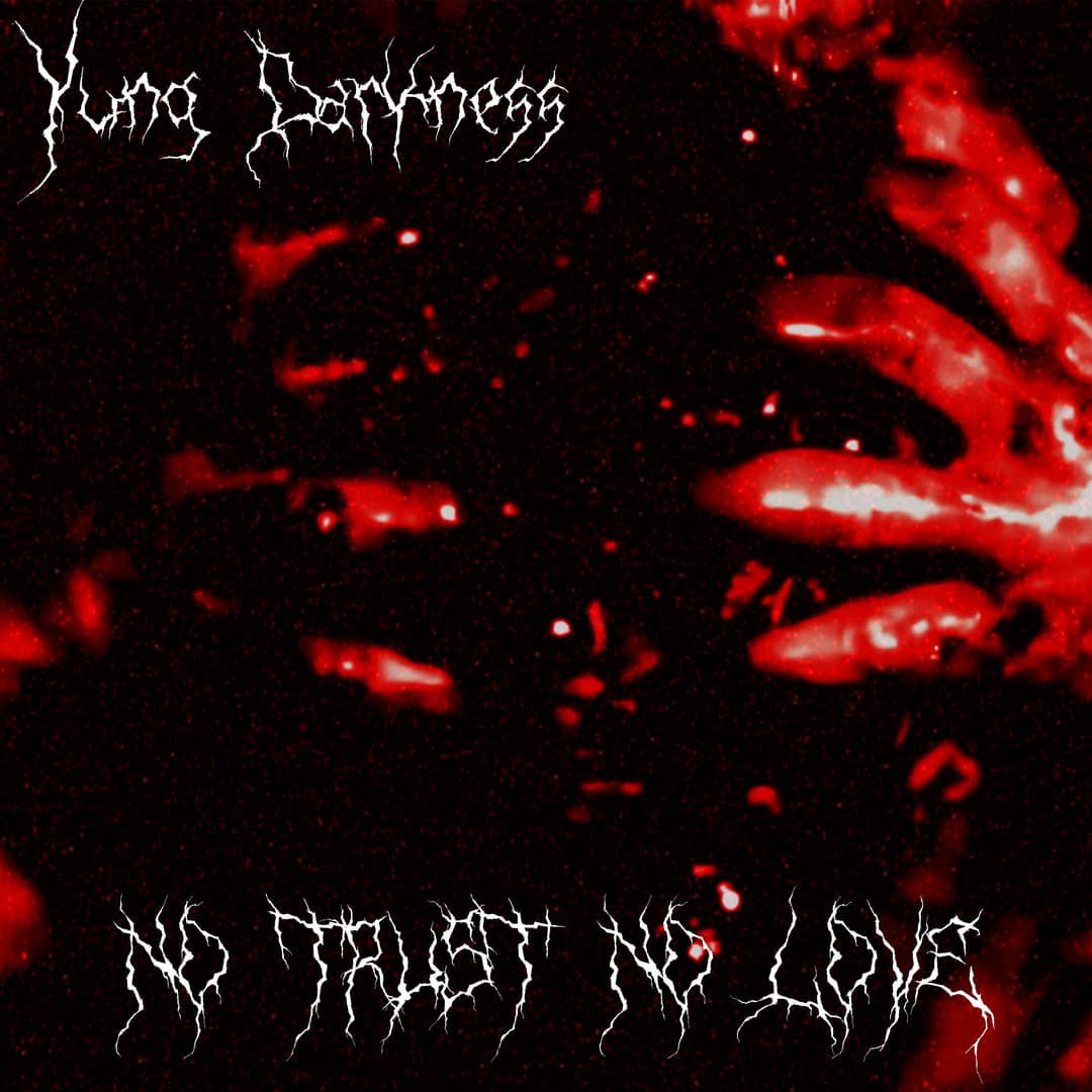 NO TRUST NO LOVE
