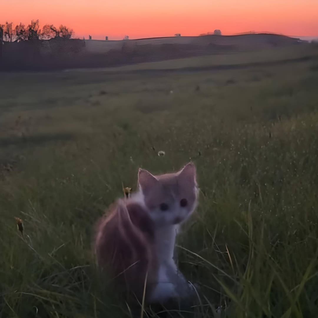 cолнечный день