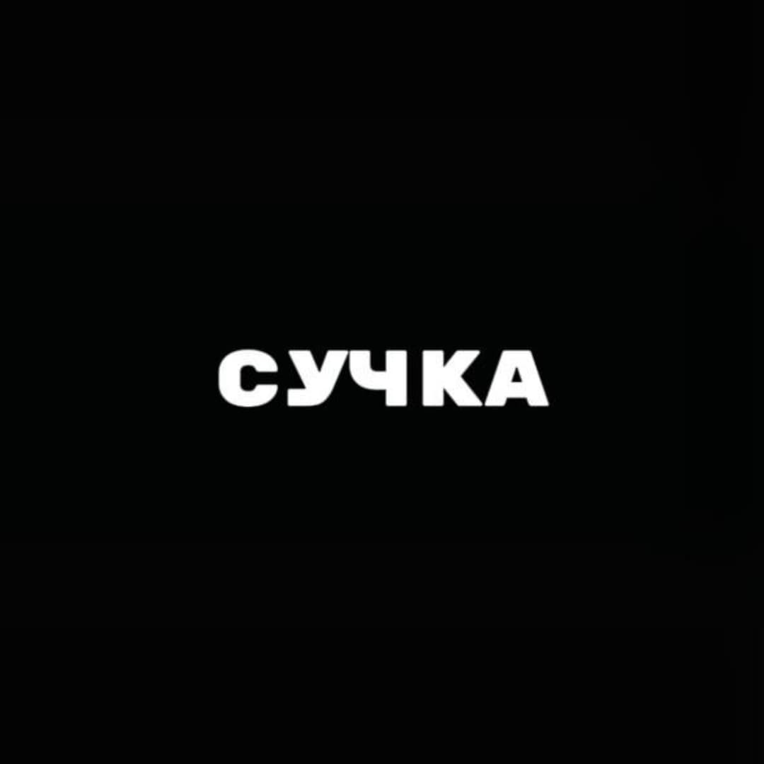 Сучка