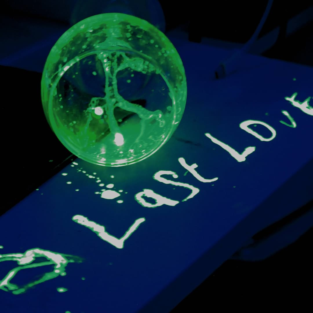 Last Love