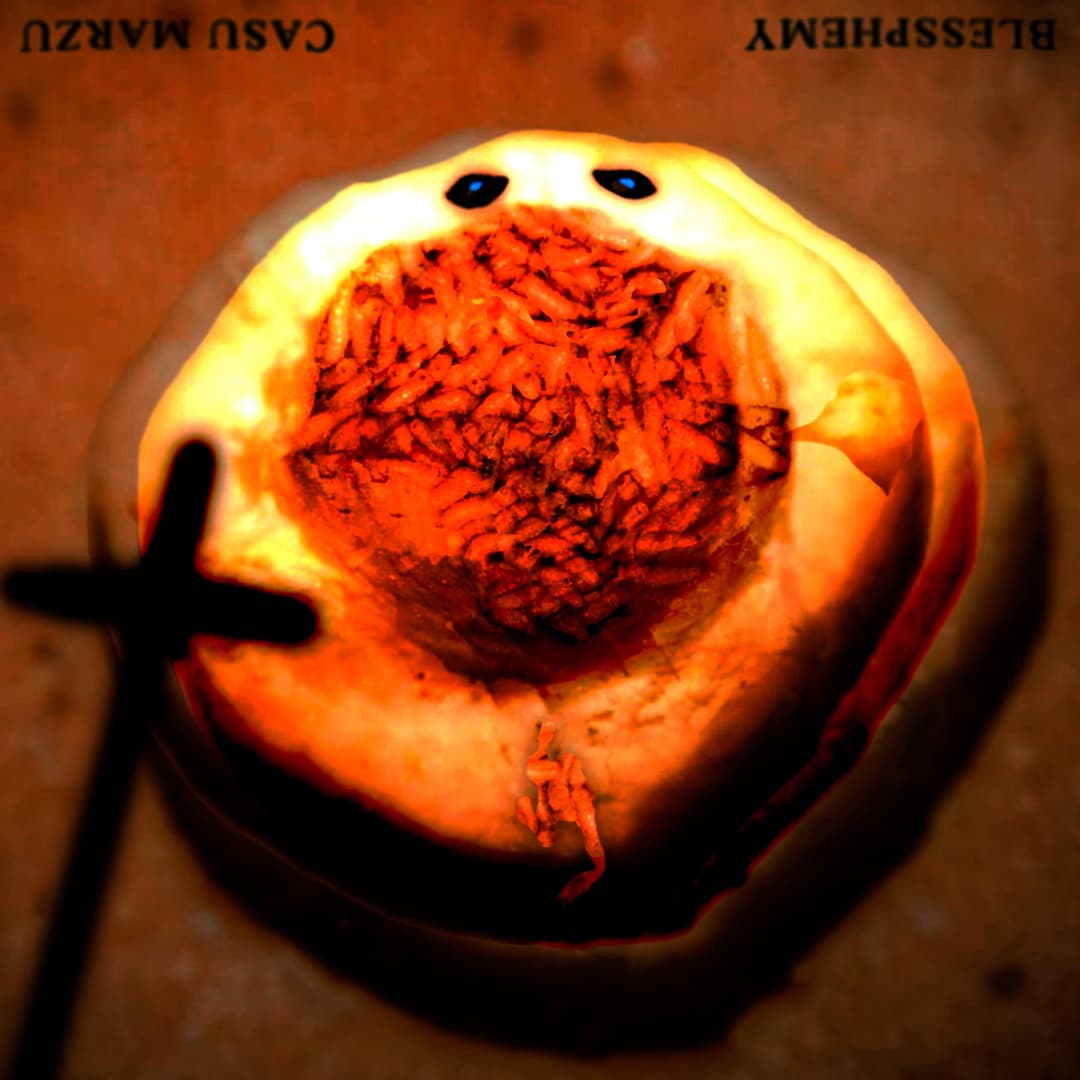 CASU MARZU