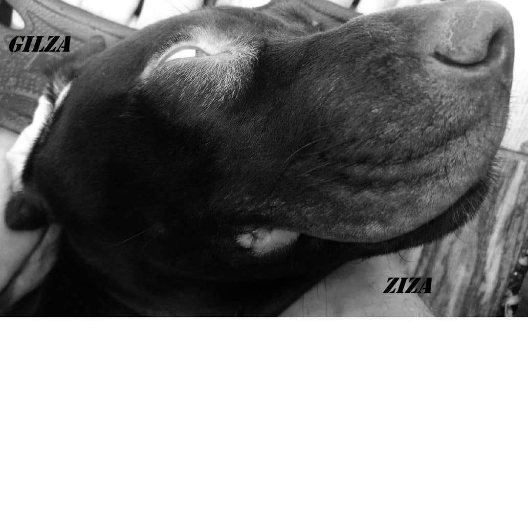 Ziza