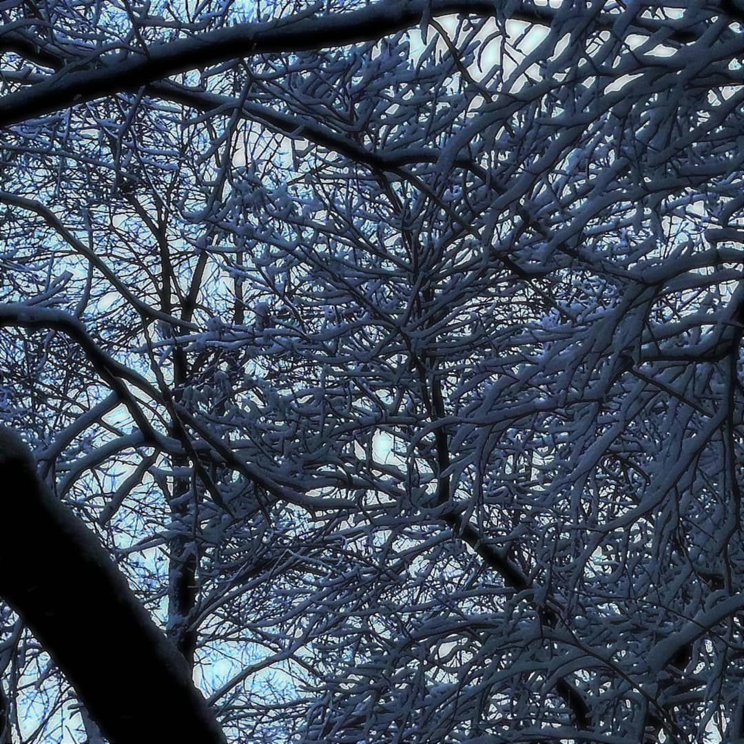 frostbite