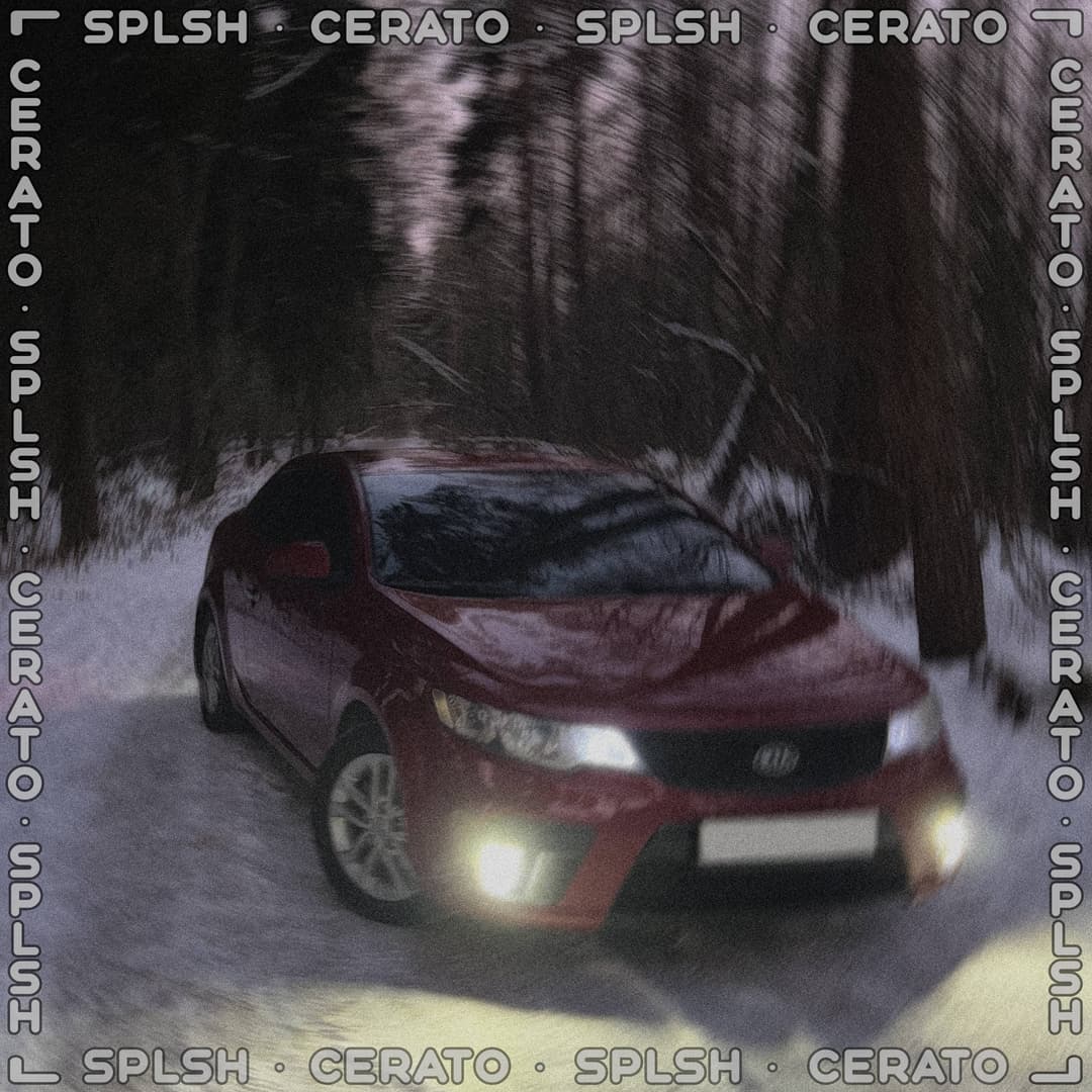Cerato