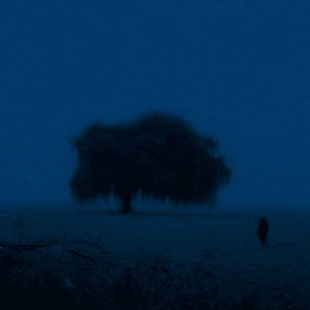 signal