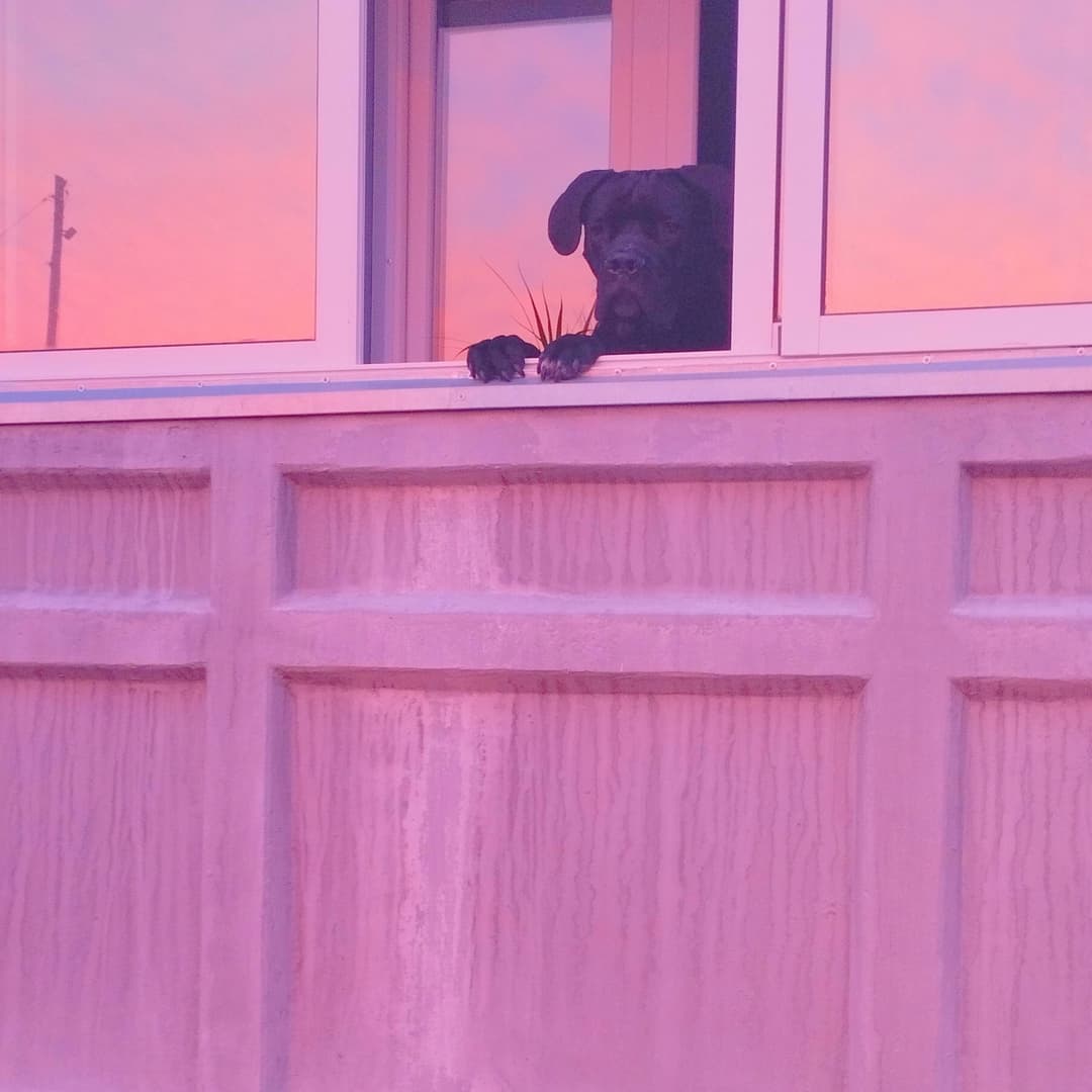 ИРЛ