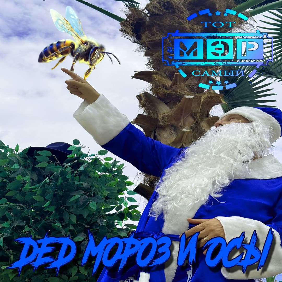 Дед Мороз и осы