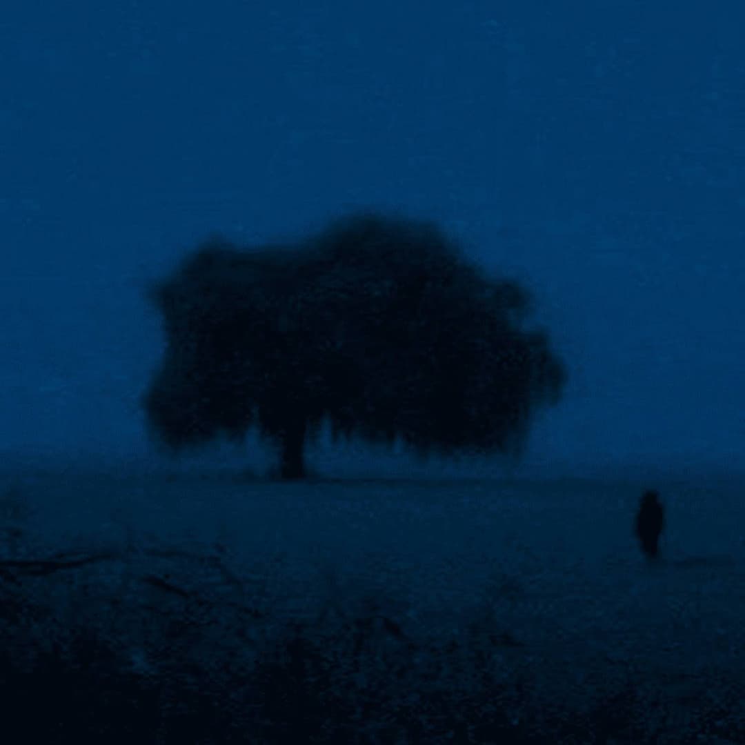 signal