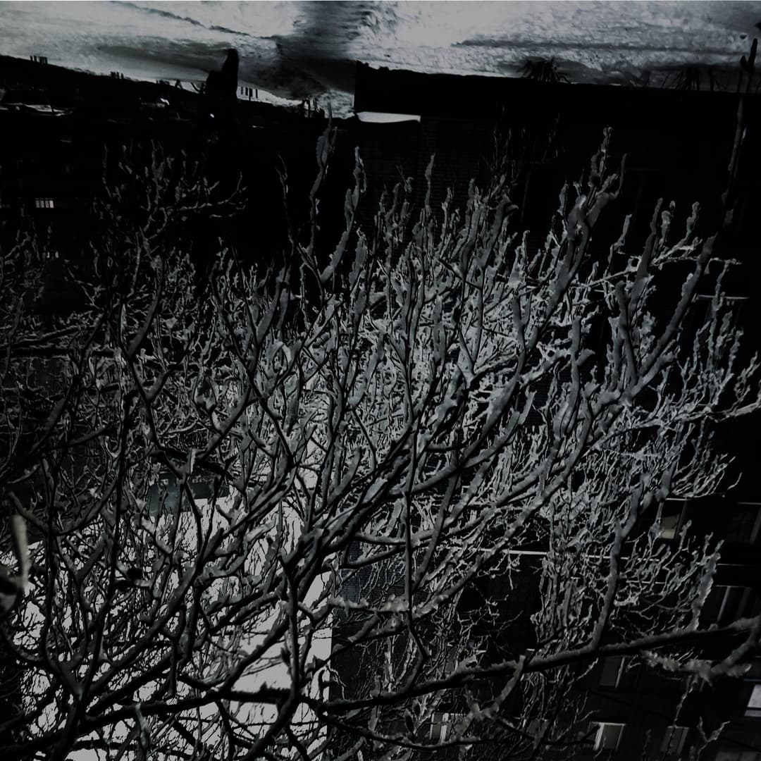endless winter