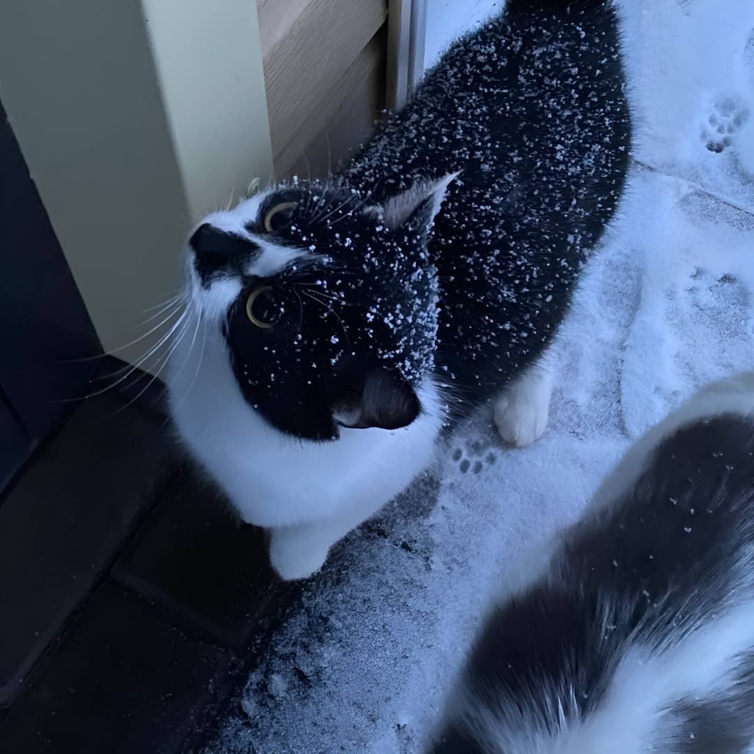 she won't see