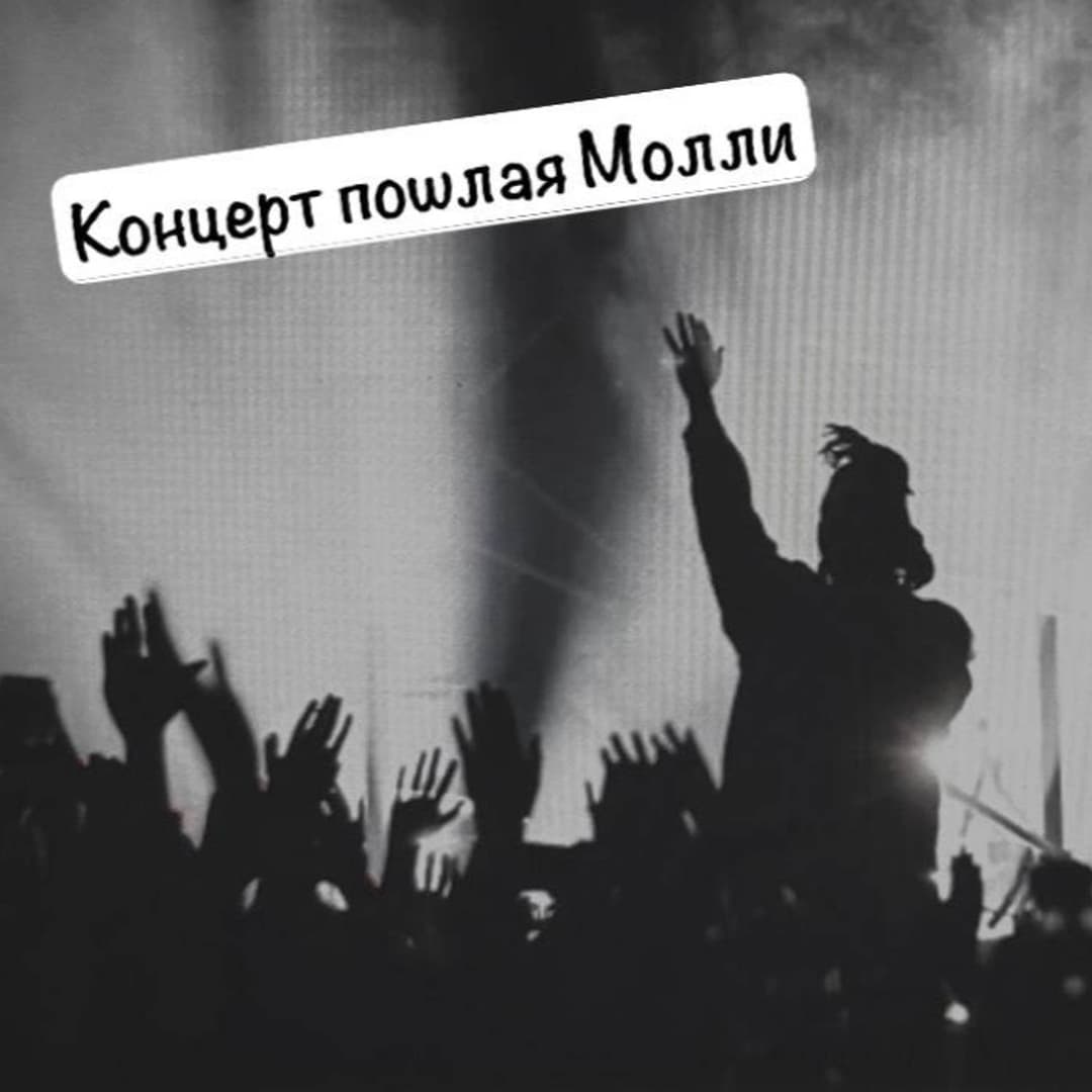 Концерт пошлая молли