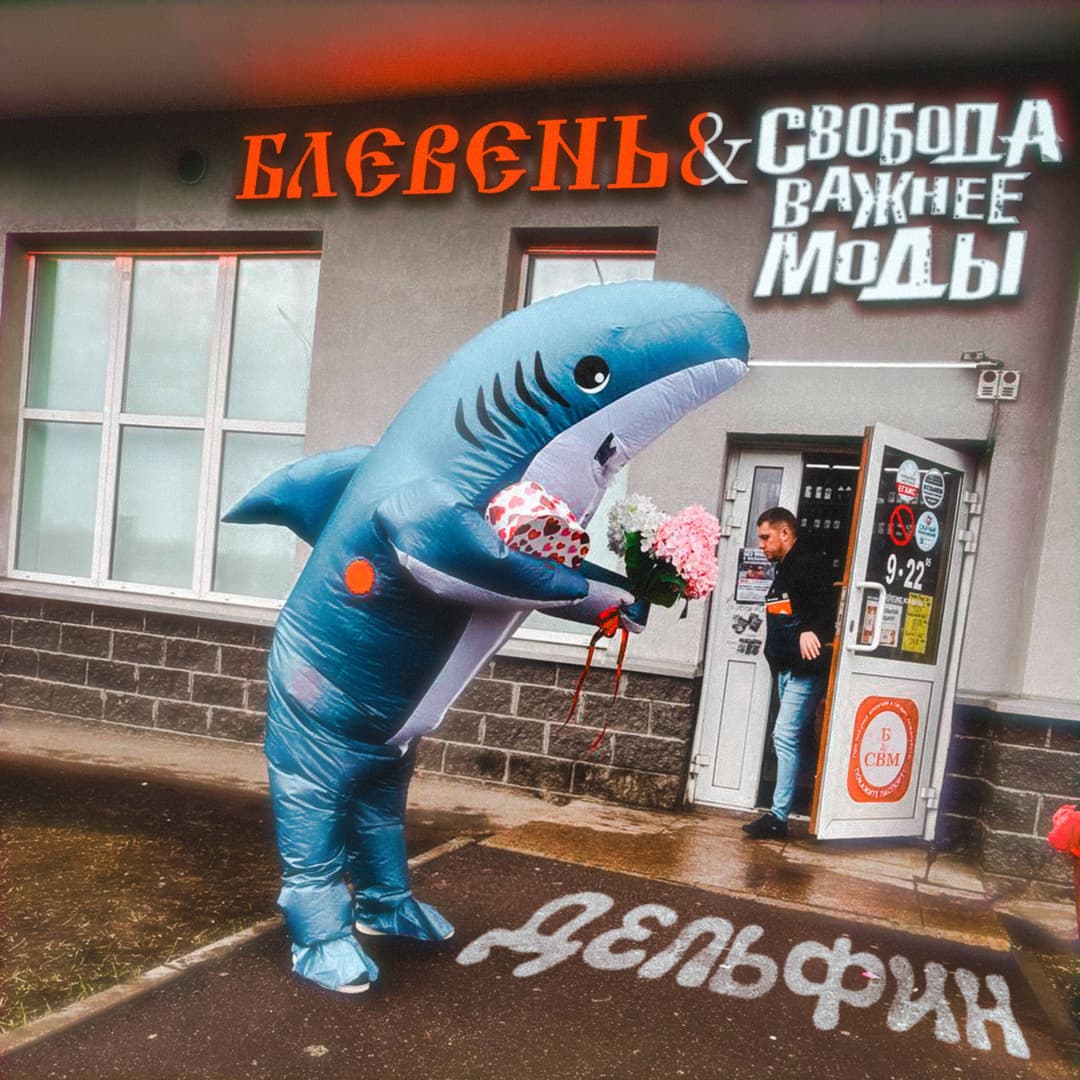 Дельфин