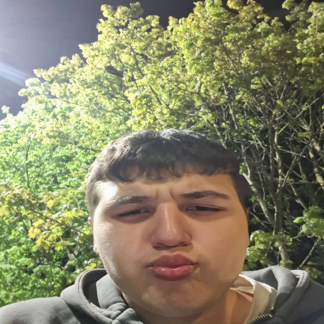 GT пёс