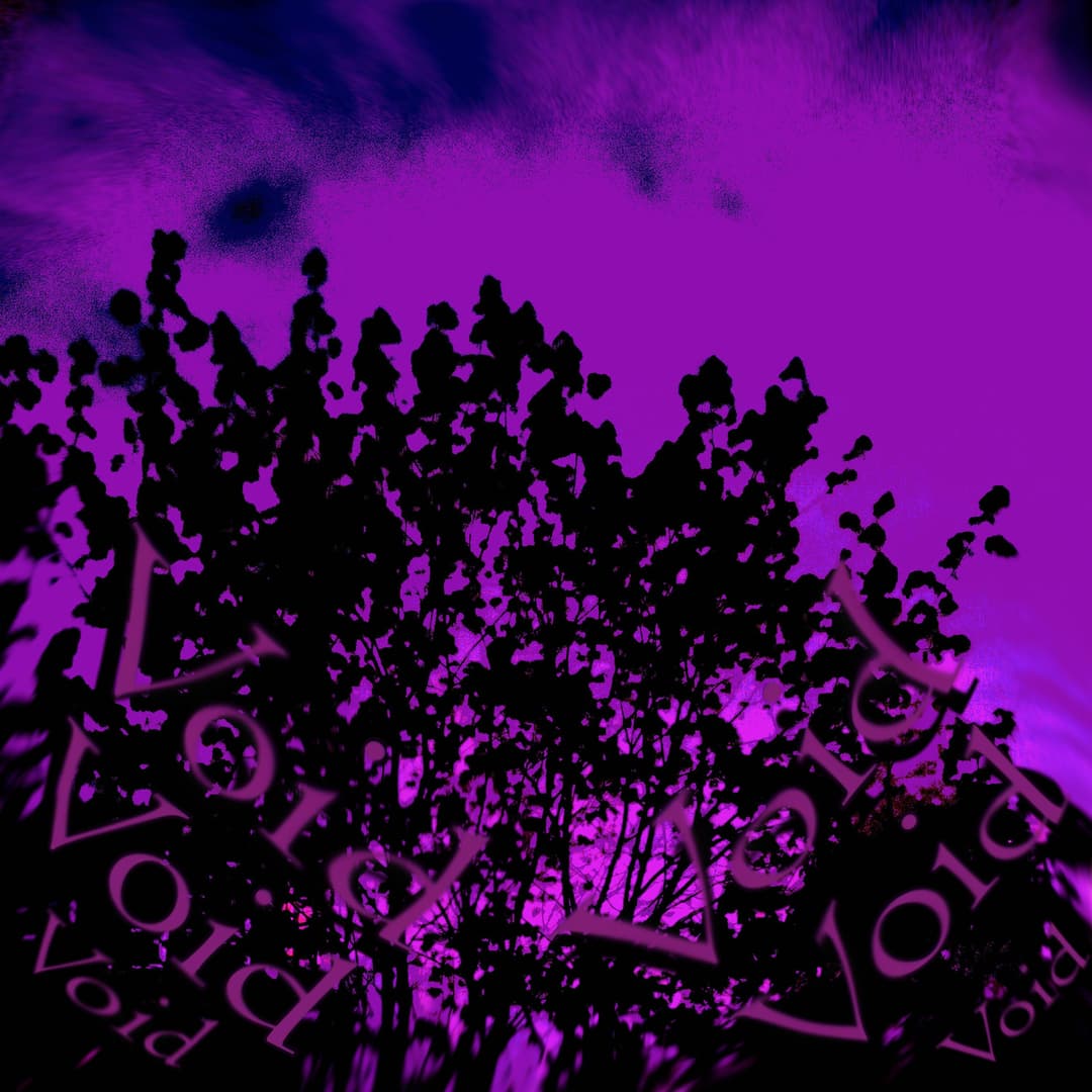 void 