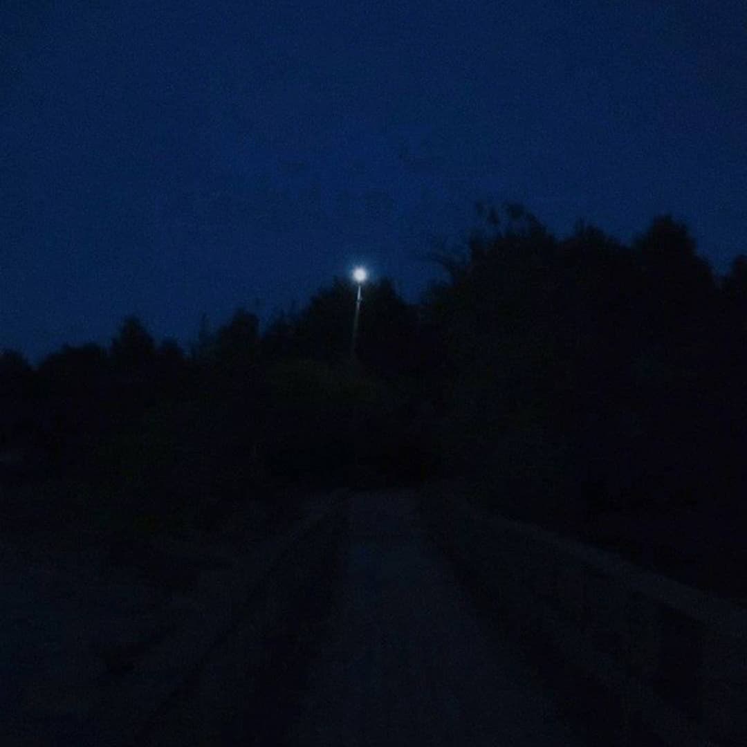 king of the night