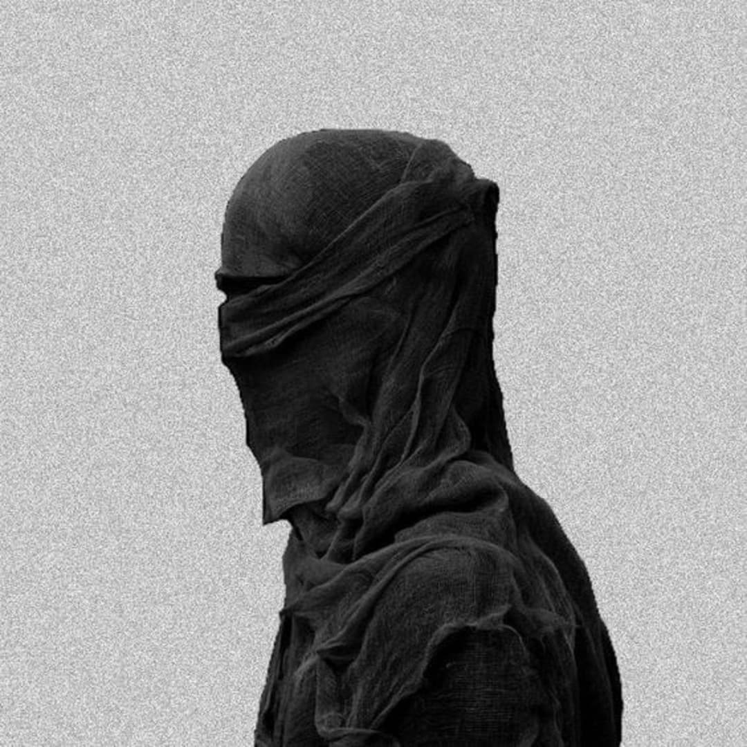 FOLLOW MADNESS