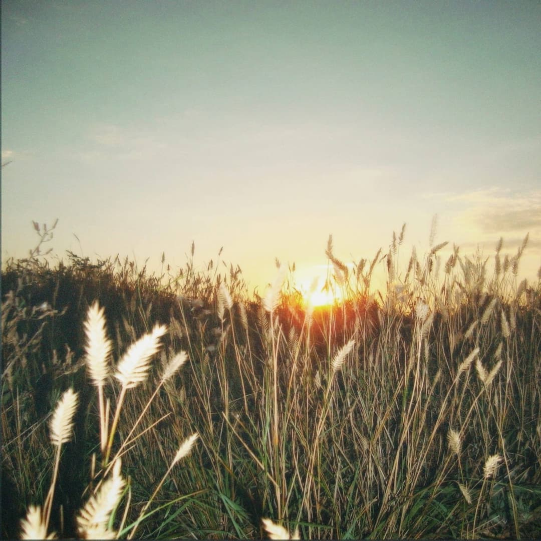 Sunset of summer