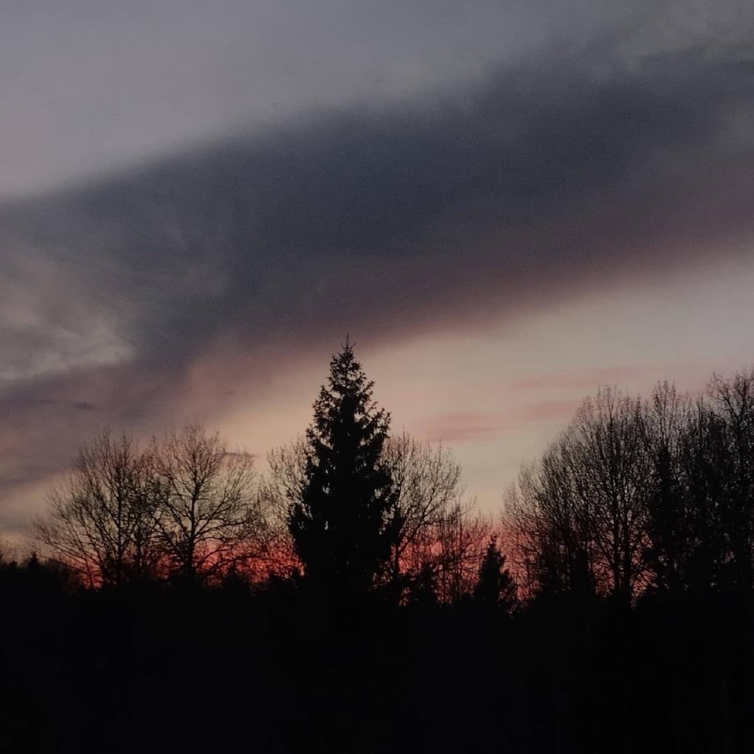 Flaming Sunset Summer