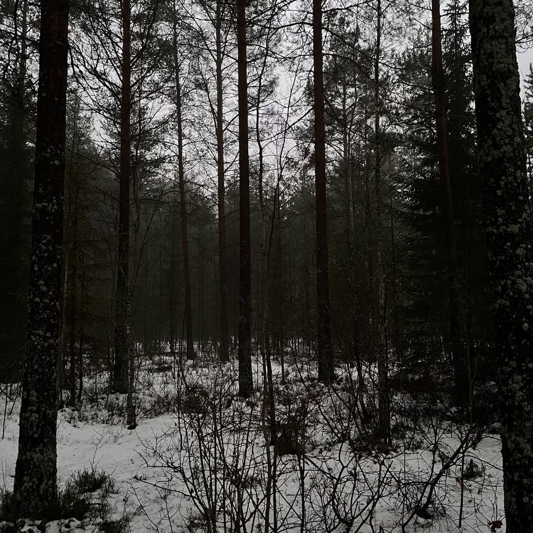Мрак