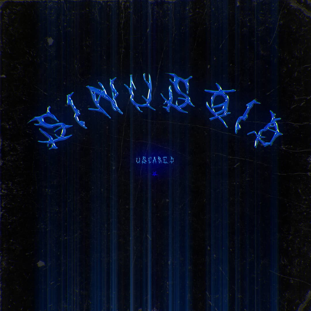 sinusoid