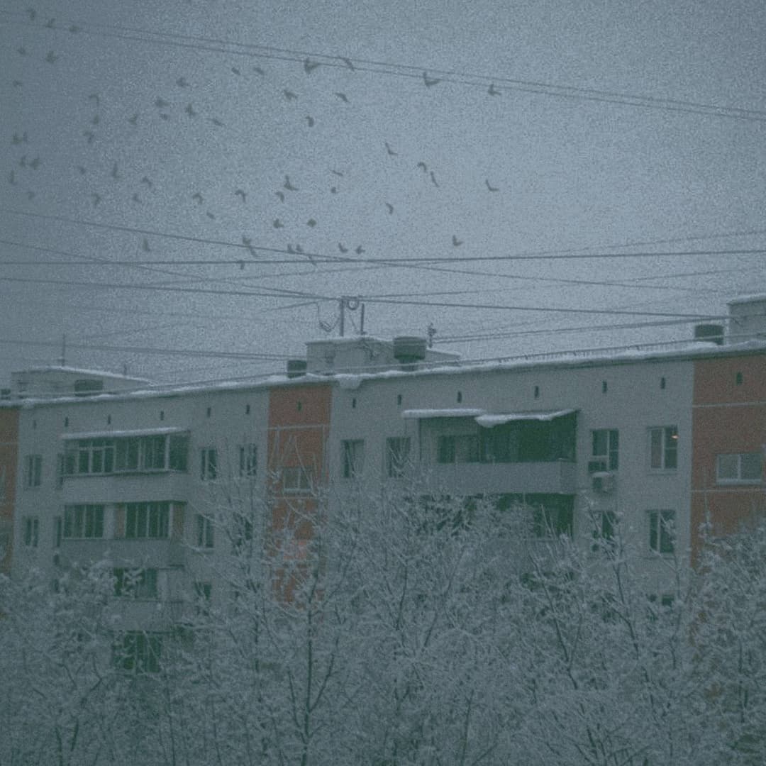 1984