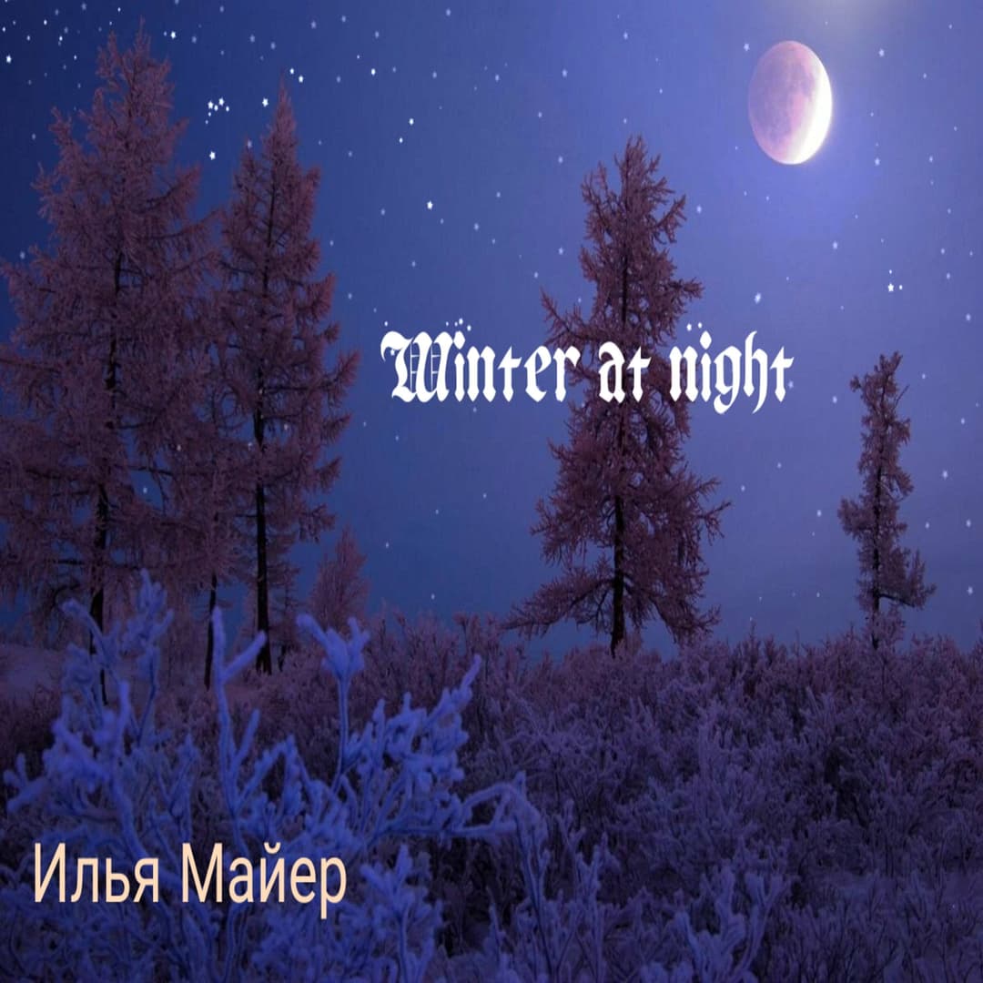 Winter at night