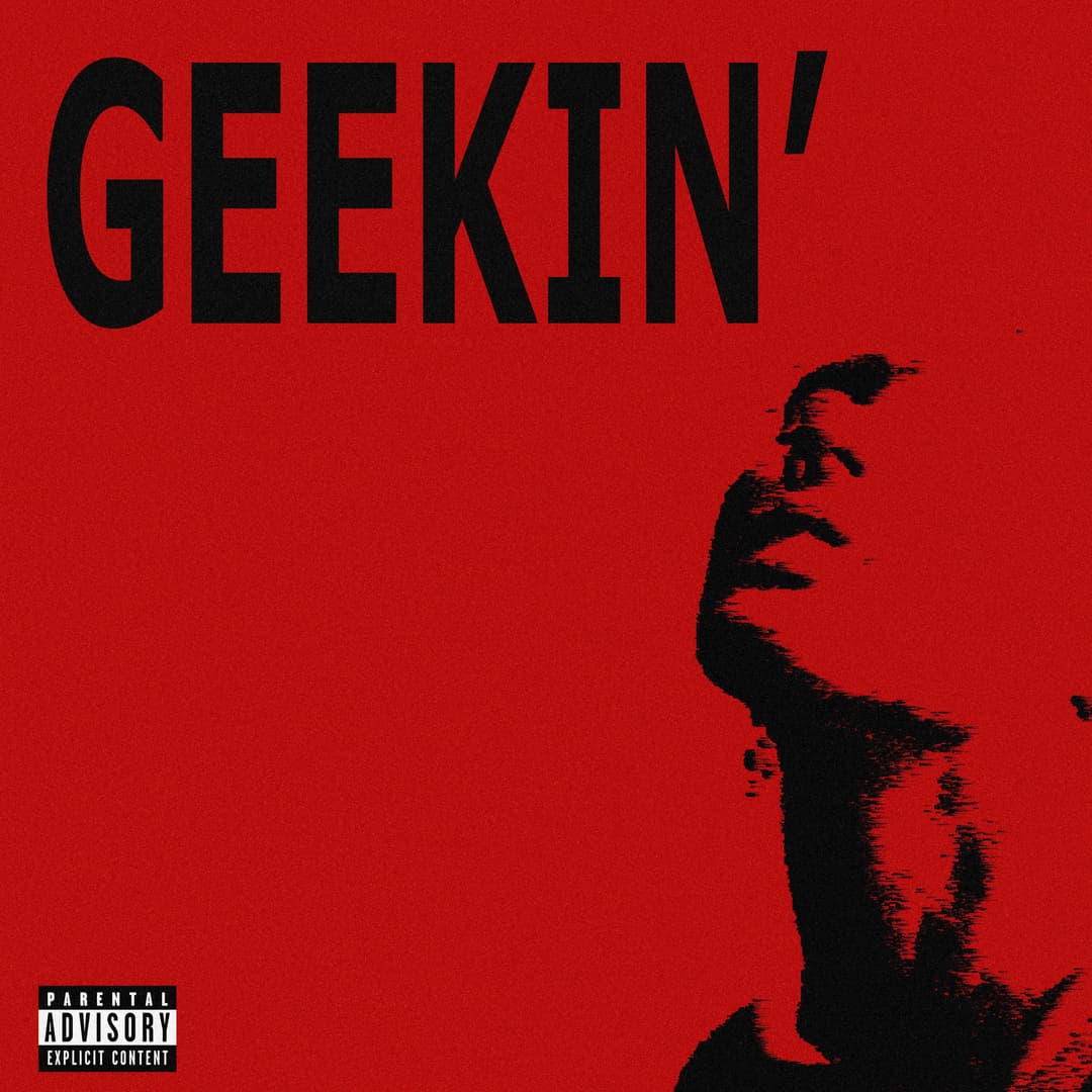 GEEKIN'