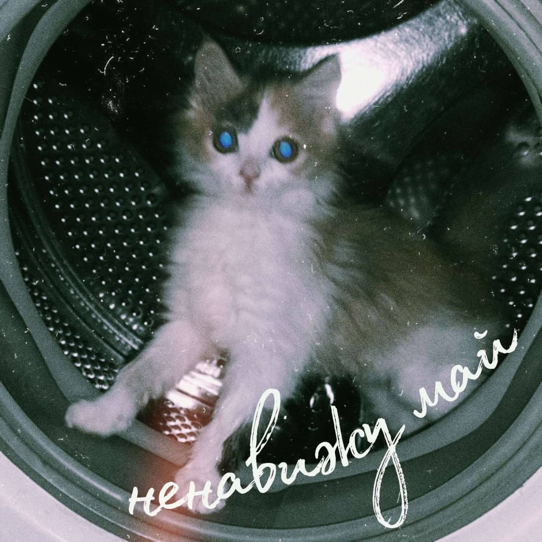 память