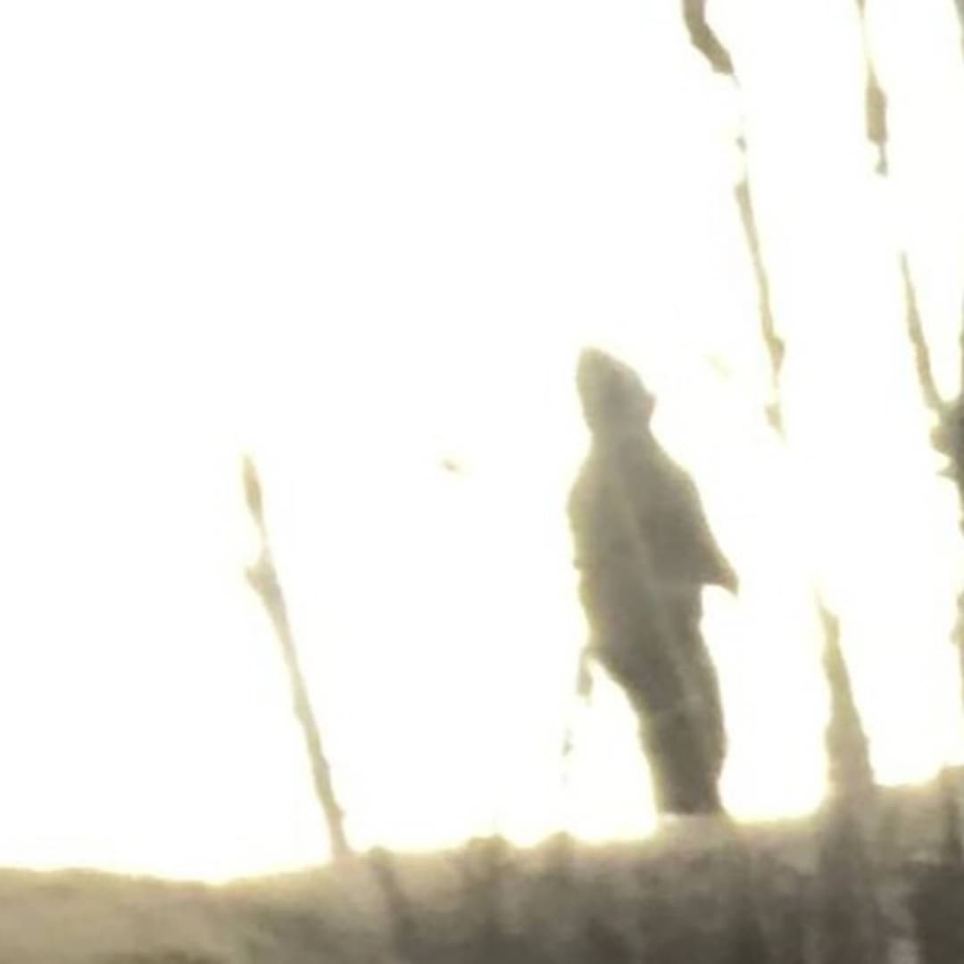 DM