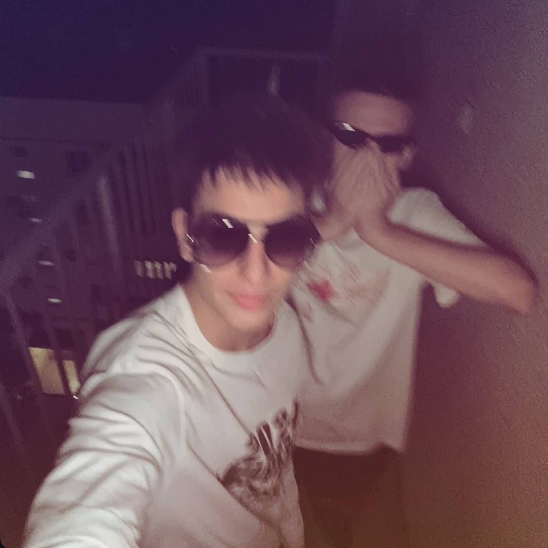 Медведи 
