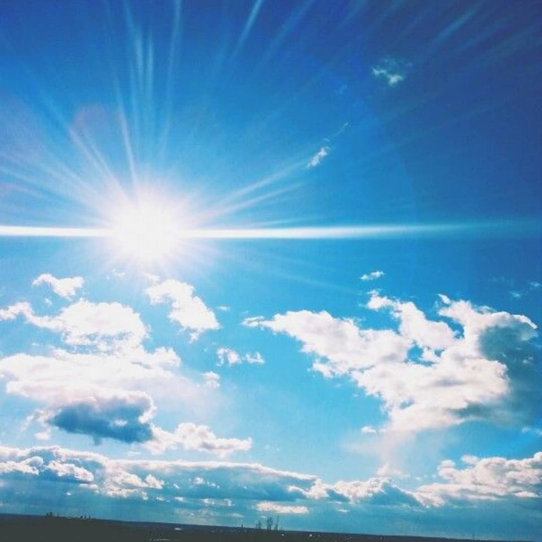 paradise