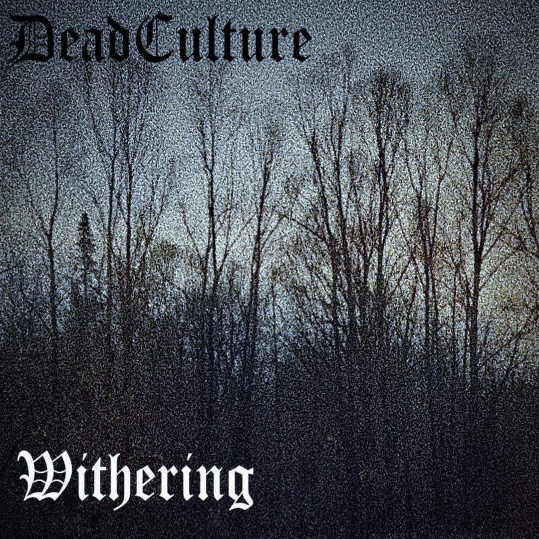 Withering