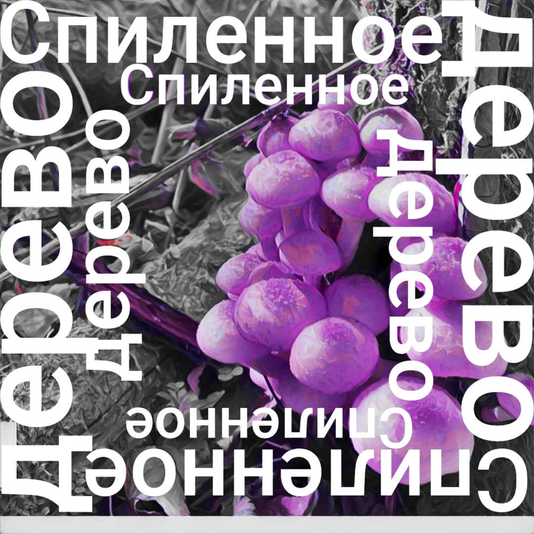 Спиленное дерево