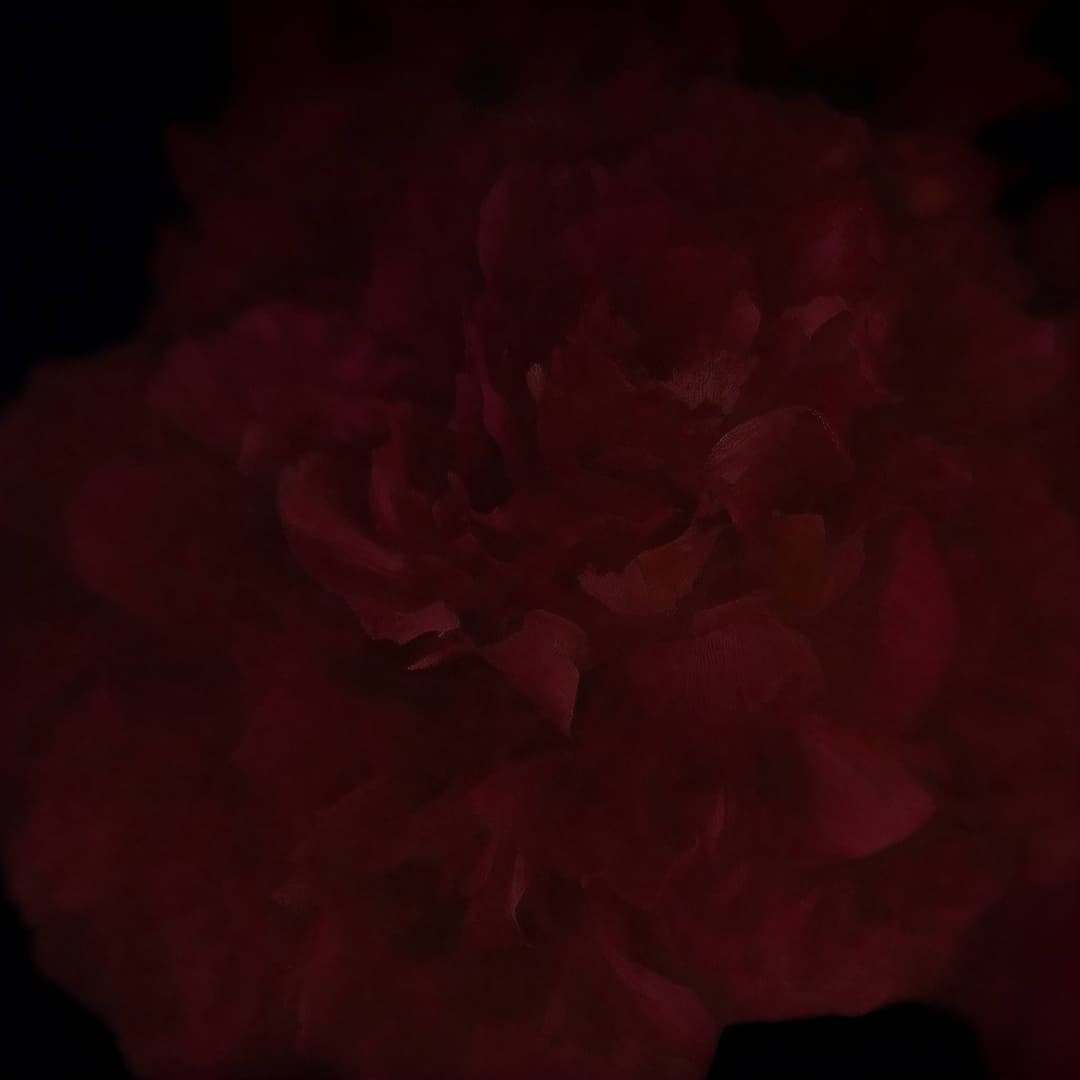 Reminiscence