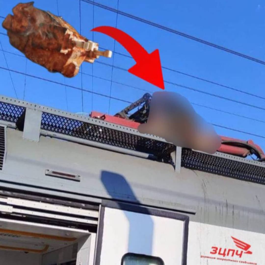 ЗЦПЧ-Lava chicken