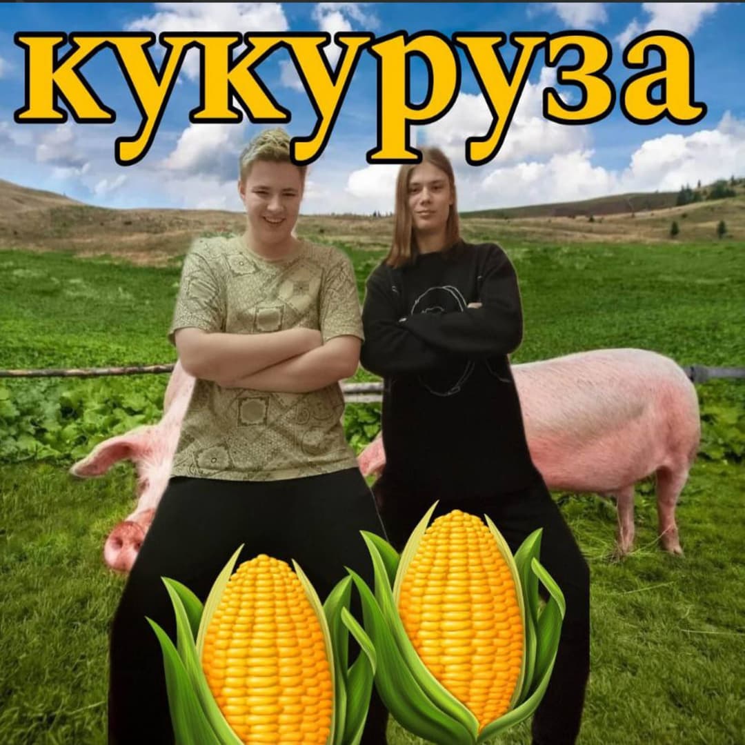 Кукуруза